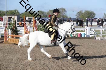EMY-1006