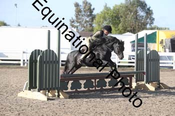 EMY-1010