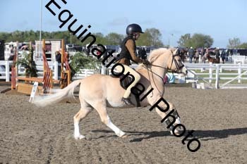 EMY-1018