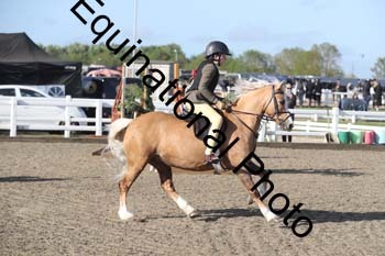 EMY-1025