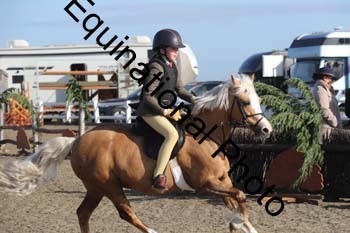 EMY-1028
