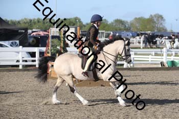 EMY-1033