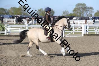 EMY-1034