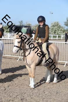 EMY-1037