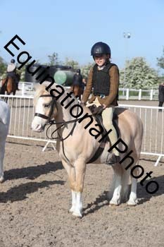 EMY-1038