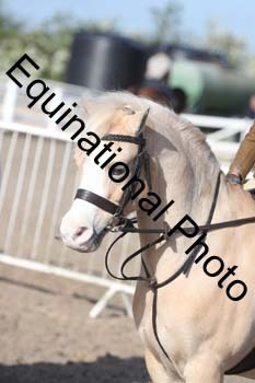 EMY-1041