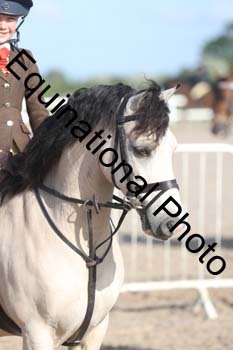 EMY-1060