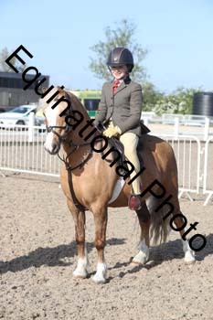 EMY-1061
