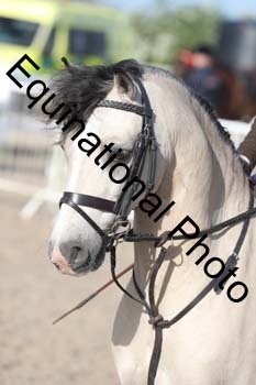 EMY-1072