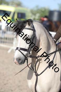 EMY-1073