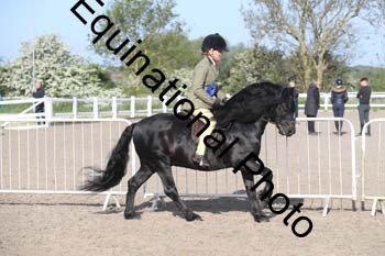 EMY-1077