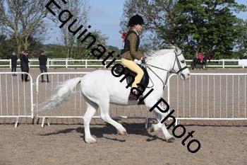 EMY-1084