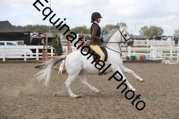 EMY-1095