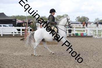 EMY-1102