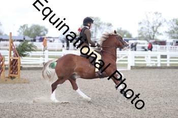 EMY-1114