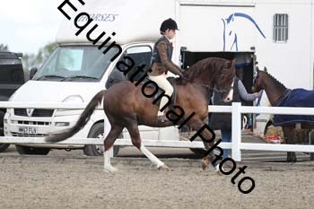 EMY-1123