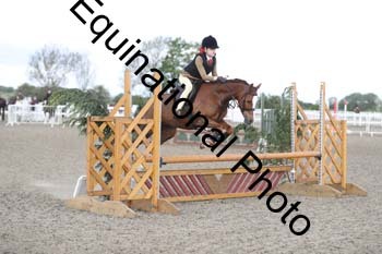 EMY-1133