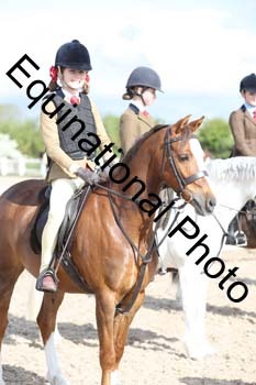 EMY-1162