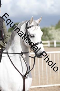 EMY-1170