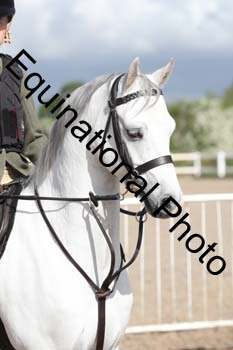 EMY-1171