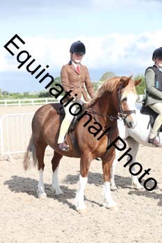 EMY-1172