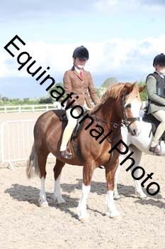 EMY-1173