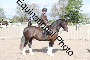 EMY-1184