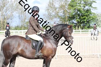 EMY-1186