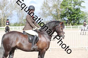 EMY-1187