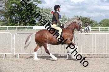 EMY-1192