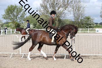 EMY-1193