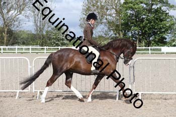 EMY-1194