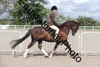EMY-1195