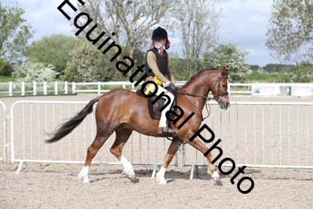 EMY-1196