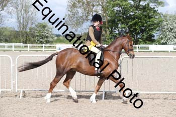 EMY-1197