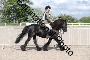 EMY-1201