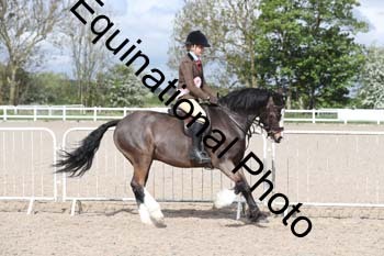 EMY-1202