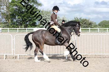 EMY-1203