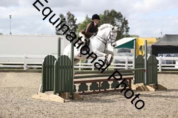 EMY-1219