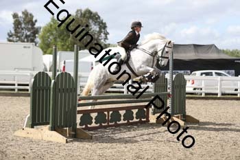 EMY-1238