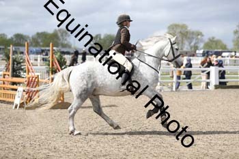 EMY-1239
