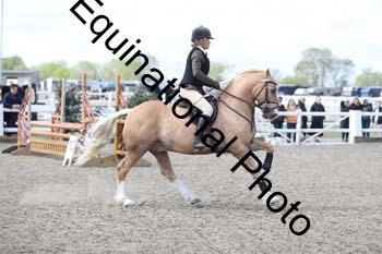 EMY-1269