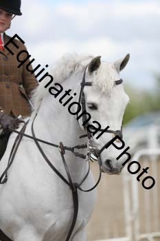 EMY-1281