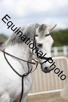 EMY-1284