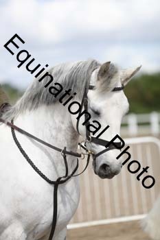 EMY-1285
