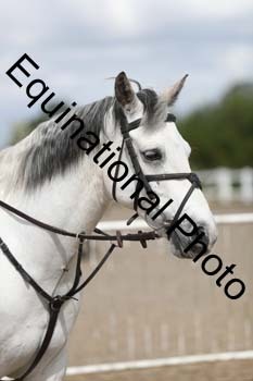 EMY-1291