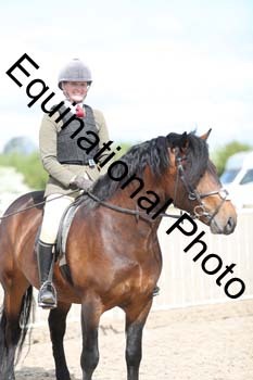 EMY-1294