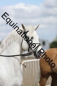 EMY-1312