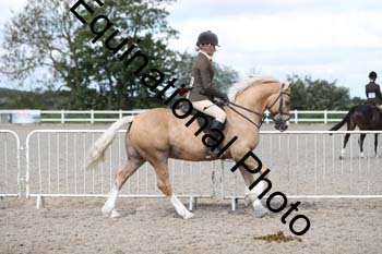 EMY-1325