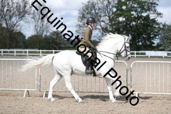 EMY-1329